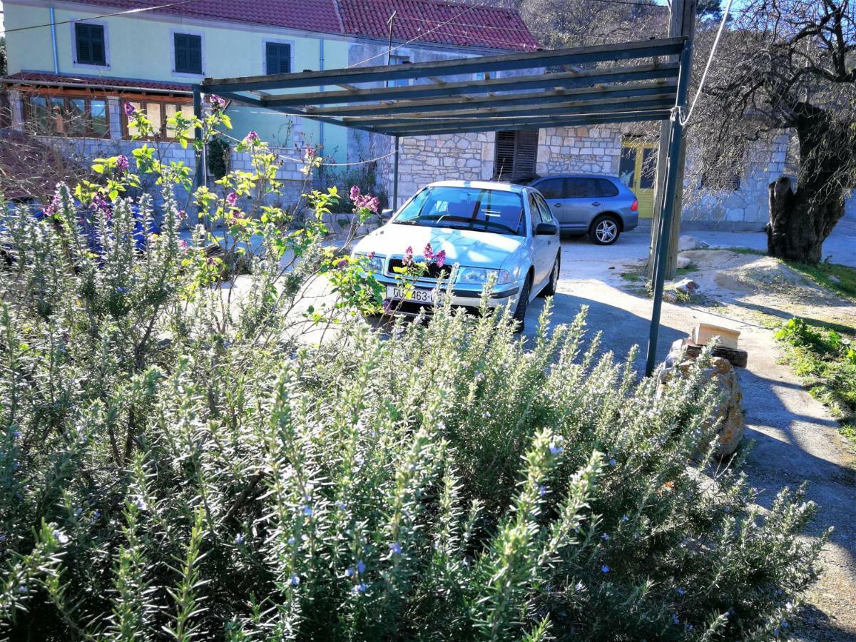 Agriculture & Holiday House Lasko Говедари Екстериор снимка