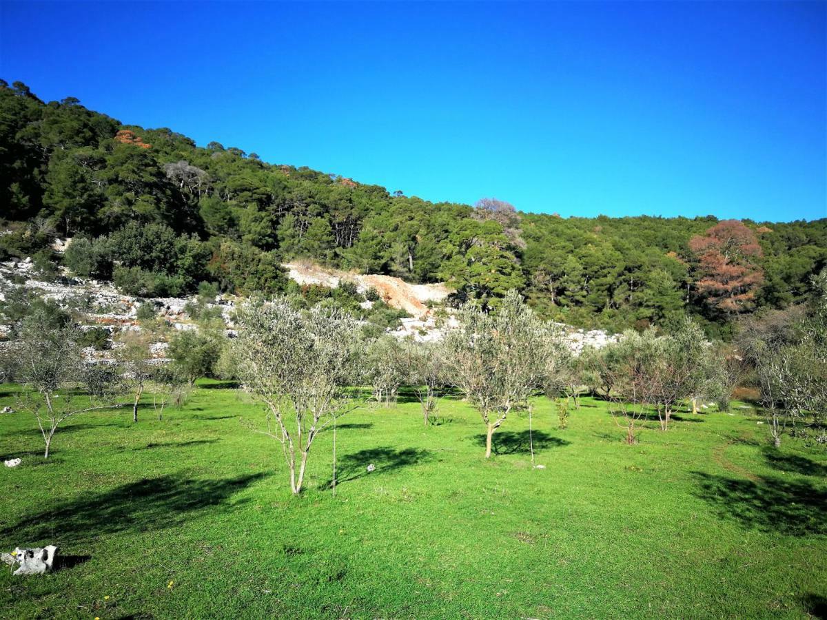 Agriculture & Holiday House Lasko Говедари Екстериор снимка