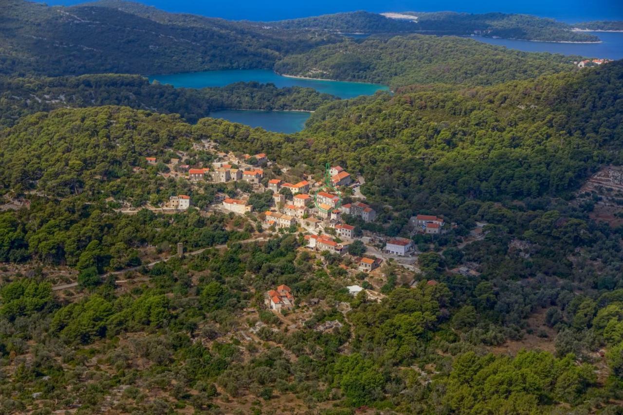 Agriculture & Holiday House Lasko Говедари Екстериор снимка