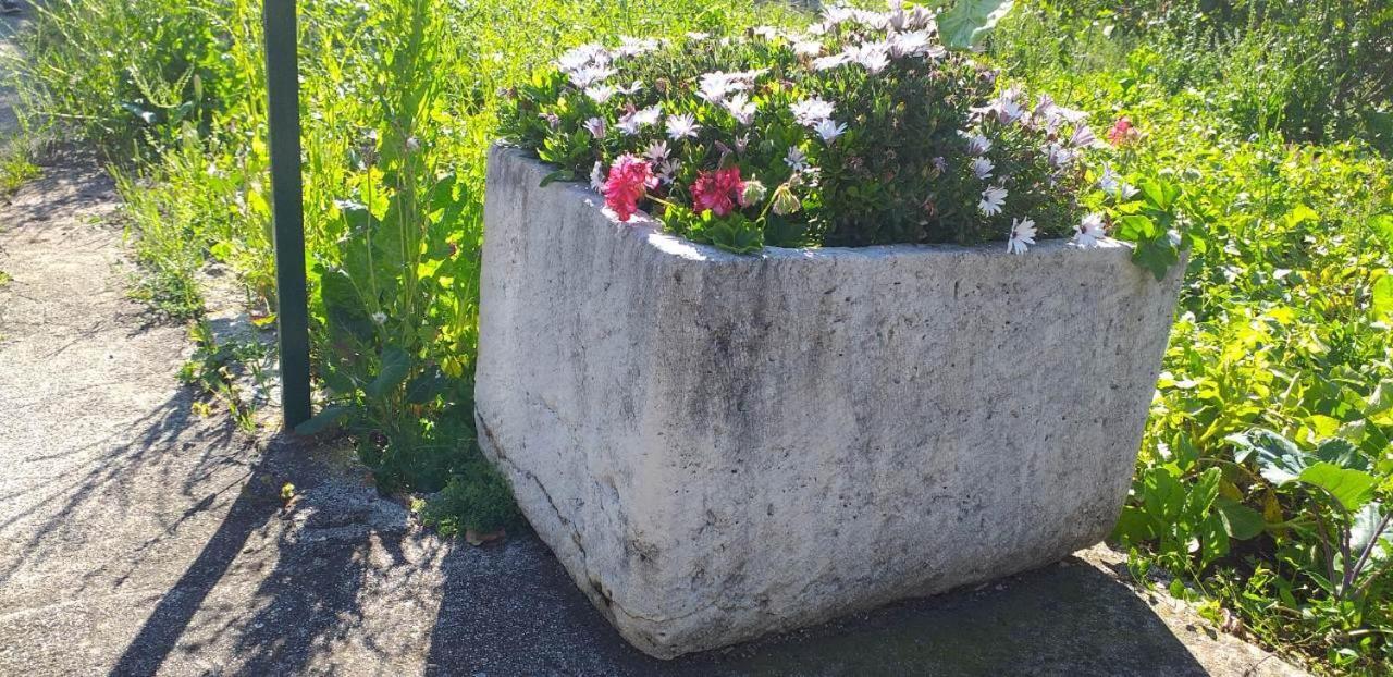 Agriculture & Holiday House Lasko Говедари Екстериор снимка